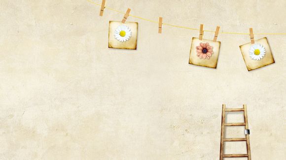 王者荣耀半月如何