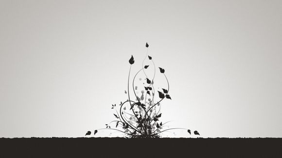 王者 英雄上限是多少