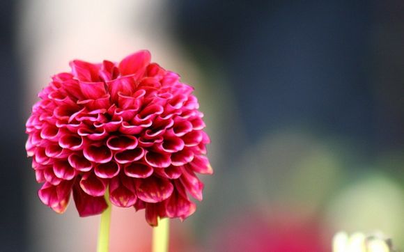 dnf哪里买冰属性