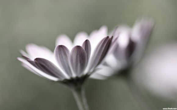 王者荣耀打野经济多少