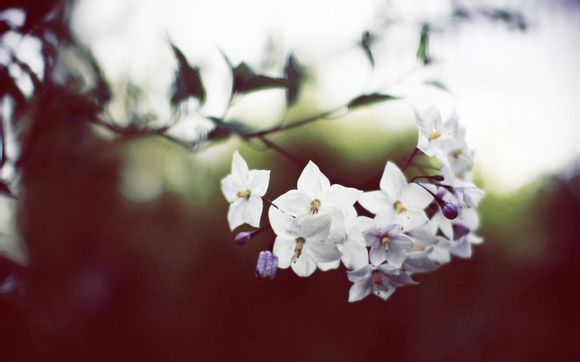 梦幻西游 哪里挂机升级