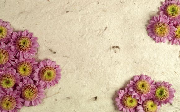 dnf魂纳扎罗多少钱