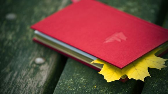 lol洲际赛哪些赛区