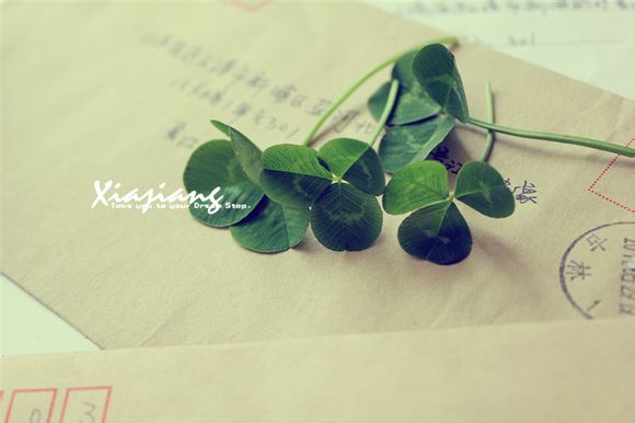 dnf哪里爆金戈铁马