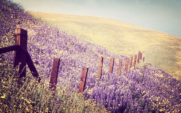 dnf多少级带金币