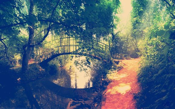 梦幻西游用户多少