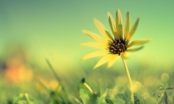 王者荣耀的台词有哪些