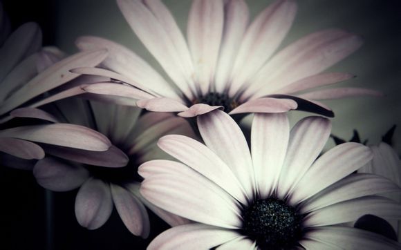 梦幻西游孩子什么样子