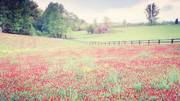地下城哪些可以删