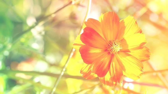 lol如何提高反应