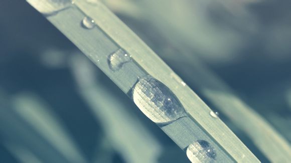 lolskt皮肤有哪些