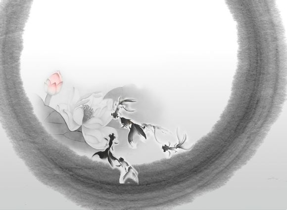 lolvn源计划多少钱