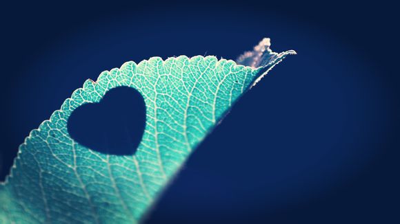 枪战王者觉醒石怎么用