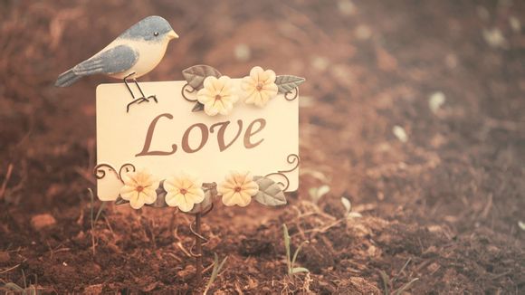 王者荣耀怎么回应