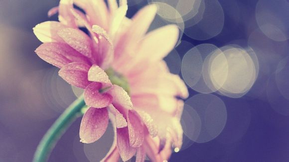 英雄联盟中单怎么打