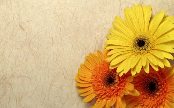 王者怎么刷名师点