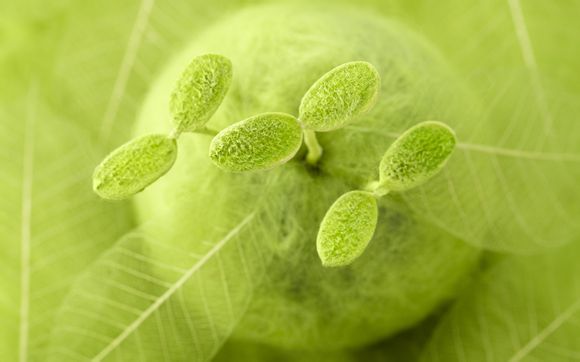 梦幻西游魔王怎么加点