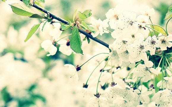 梦幻西游藏宝阁买的号多久能卖