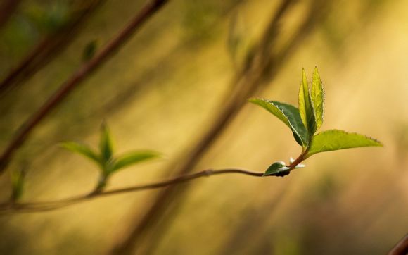 王者荣耀边境突围多久开