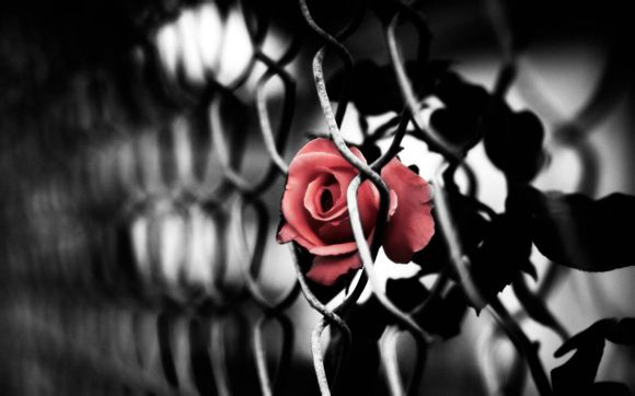 lol星妈有哪些皮肤