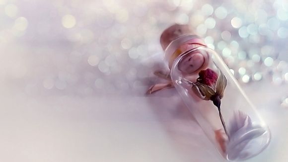 乱世王者有哪些奖励