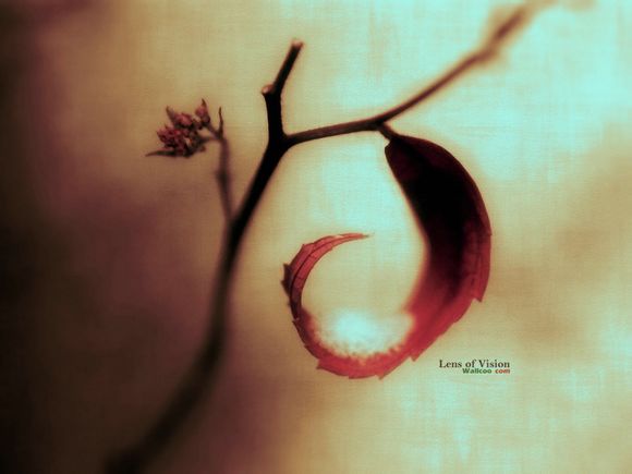 dnf暴伤装备有哪些