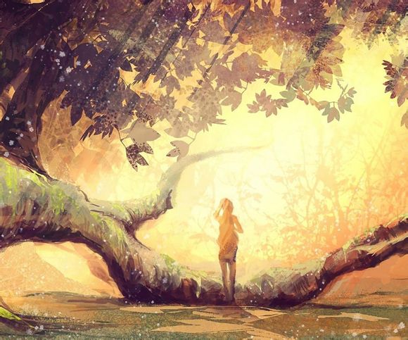 dnfcscapi.dll在哪里