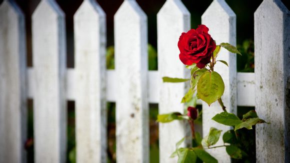 梦幻西游战力最高多少